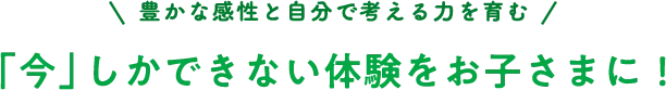 豊かな感性と自分で考える力を育む 「今」しかできない体験をお子様に！