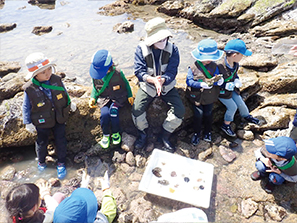 磯の生き物 小さな水族館を見る