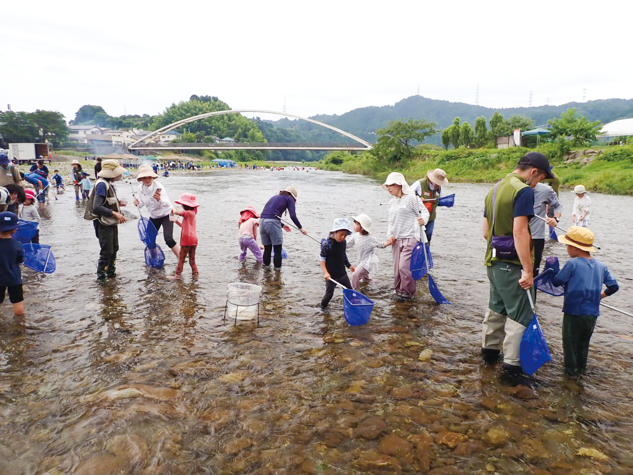 水生昆虫を調べる